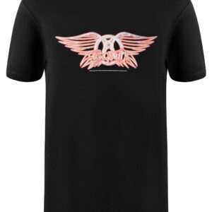 Aerosmith Logo t- shirt