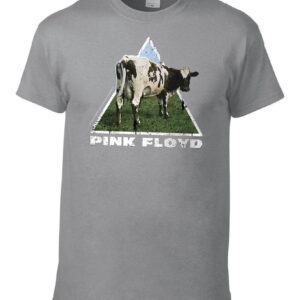 Pink Floyd - Atom Heart  t- shirt Storm Grey