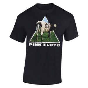 Pink Floyd - Atom Heart  t- shirt
