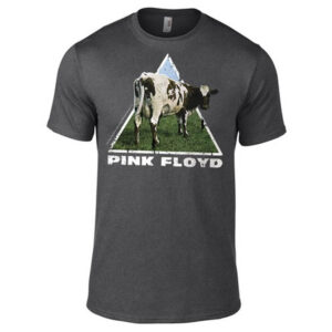 Pink Floyd - Atom Heart  t- shirt Dark Grey