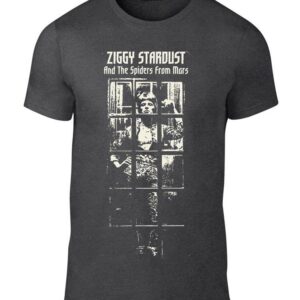 David Bowie Ziggy Stardust bw t- shirt