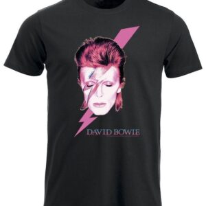 David Bowie Aladdin sane t- shirt