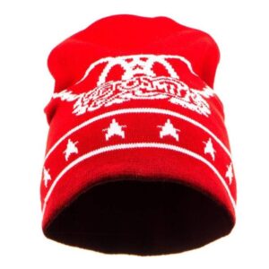 Aerosmith -Walk this way   Beanie