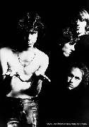 Doors - Band B/W